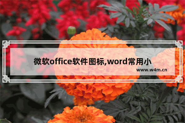 微软office软件图标,word常用小图标素材在哪里找