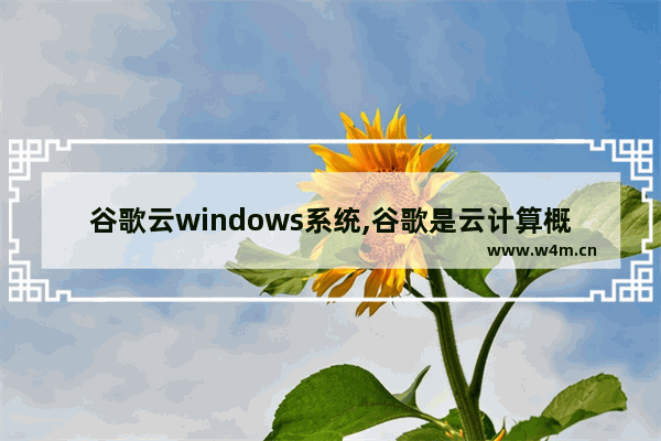 谷歌云windows系统,谷歌是云计算概念的创造者