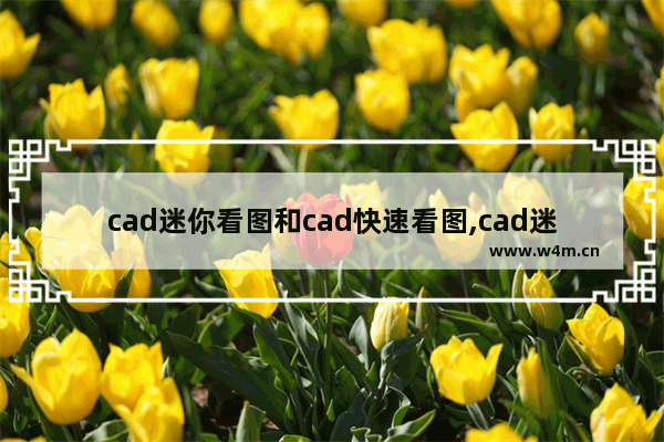 cad迷你看图和cad快速看图,cad迷你看图好用吗