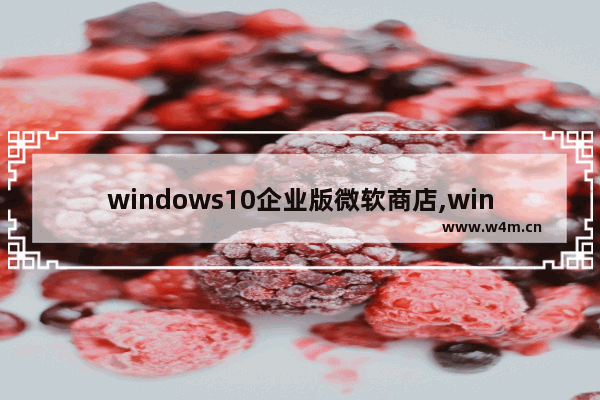 windows10企业版微软商店,win10企业版下载