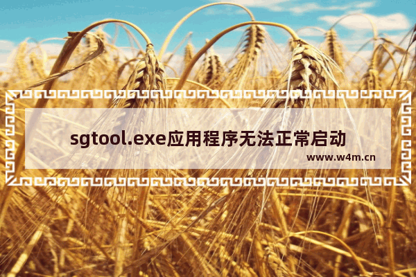 sgtool.exe应用程序无法正常启动,sgtool.exe是什么程序