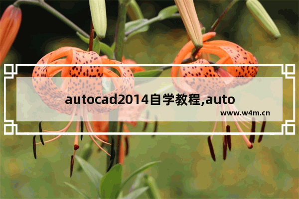 autocad2014自学教程,autocad2008使用教程