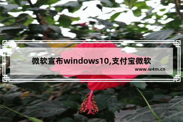 微软宣布windows10,支付宝微软