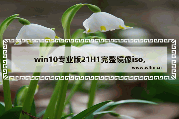 win10专业版21H1完整镜像iso,windows10专业版1903