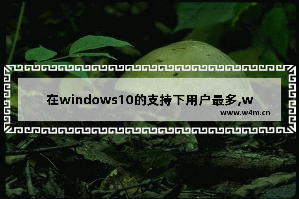 在windows10的支持下用户最多,win10只允许一个软件联网