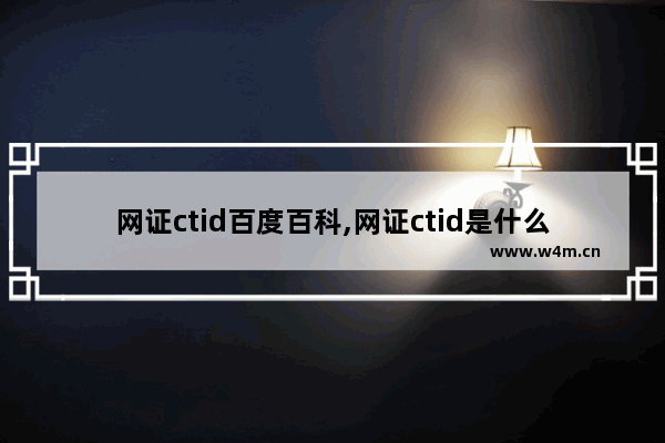 网证ctid百度百科,网证ctid是什么东西