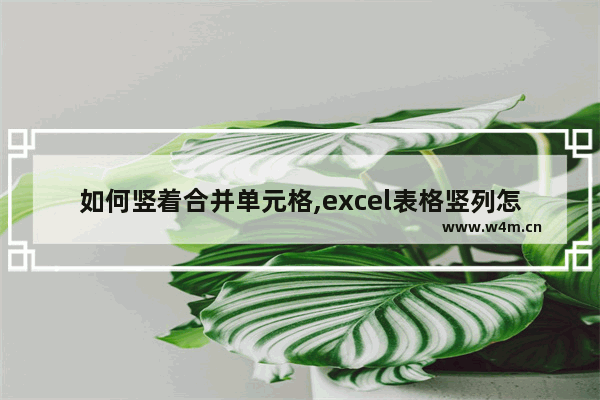 如何竖着合并单元格,excel表格竖列怎么合并