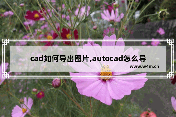 cad如何导出图片,autocad怎么导出成图片