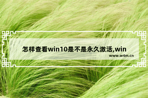 怎样查看win10是不是永久激活,win10系统如何查看是否永久激活