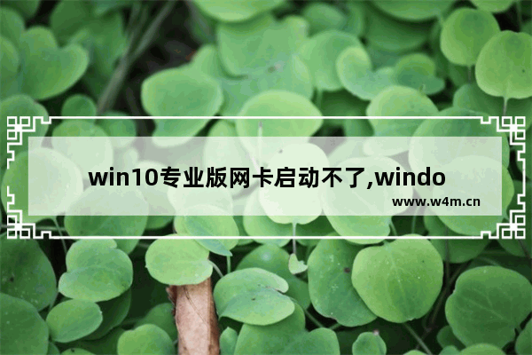 win10专业版网卡启动不了,windows10专业版上不了网