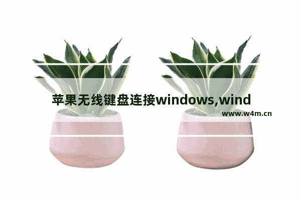 苹果无线键盘连接windows,windows10怎么连接苹果键盘