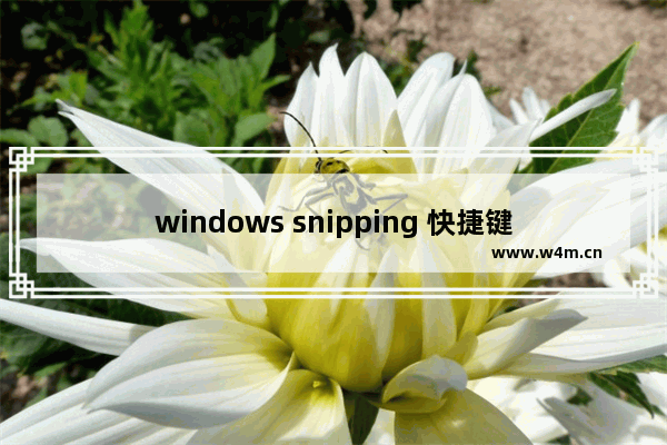 windows snipping 快捷键,windows snipping