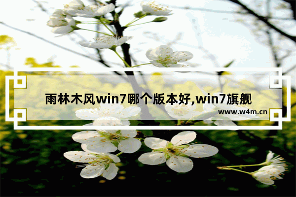 雨林木风win7哪个版本好,win7旗舰版深度和雨木风林