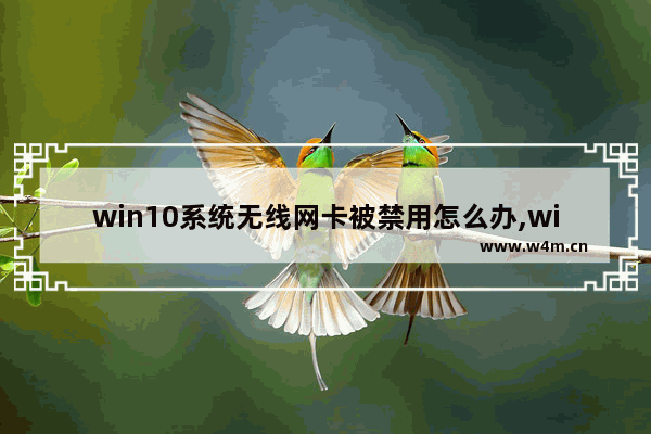 win10系统无线网卡被禁用怎么办,win10 掉网卡