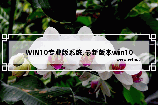 WIN10专业版系统,最新版本win10系统