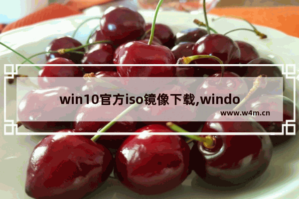 win10官方iso镜像下载,windows10专业版iso镜像下载