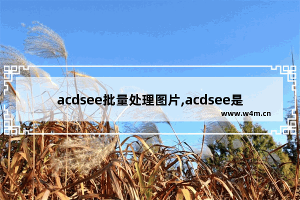 acdsee批量处理图片,acdsee是图像处理软件吗