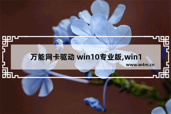 万能网卡驱动 win10专业版,win10驱动精灵有用吗