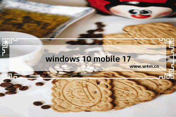 windows 10 mobile 1709,win1019042.630版