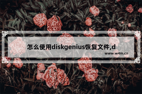 怎么使用diskgenius恢复文件,diskgenius 文件恢复