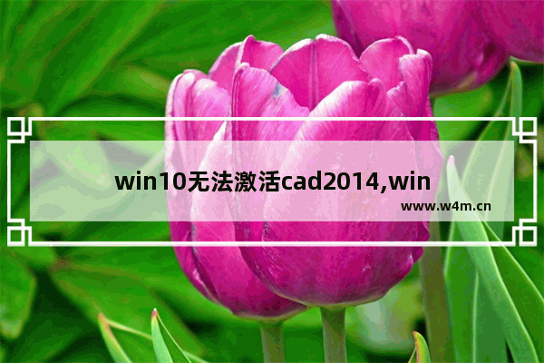 win10无法激活cad2014,win10系统cad激活不了怎么办