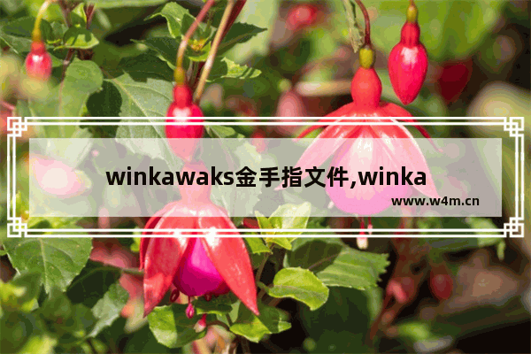 winkawaks金手指文件,winkawaks模拟器手柄设置