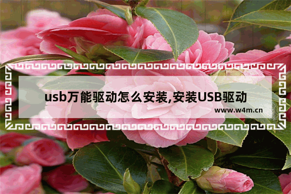 usb万能驱动怎么安装,安装USB驱动