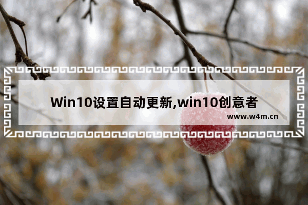 Win10设置自动更新,win10创意者更新易升