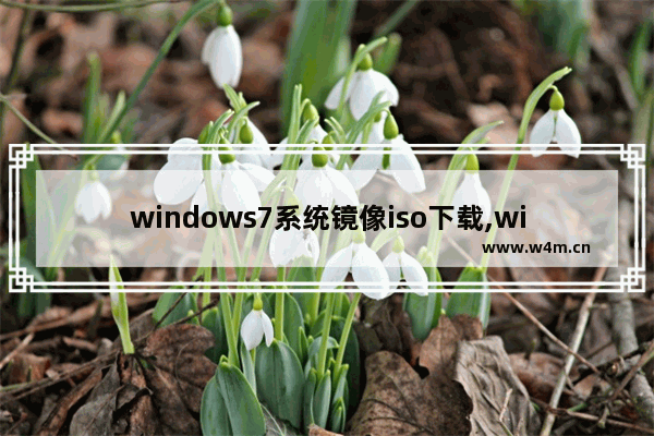 windows7系统镜像iso下载,win7旗舰版iso镜像