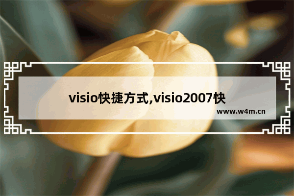 visio快捷方式,visio2007快捷键