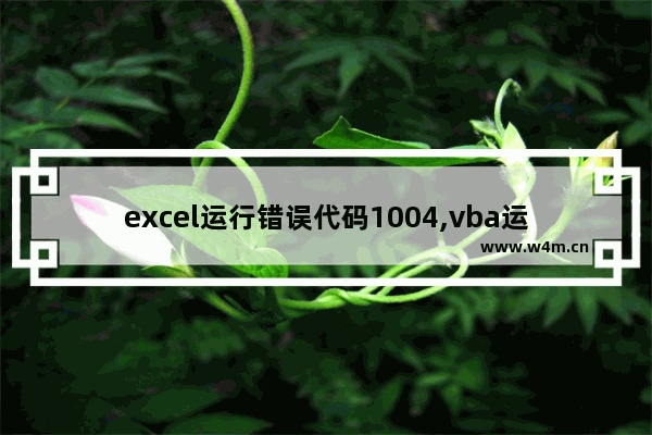 excel运行错误代码1004,vba运行时错误