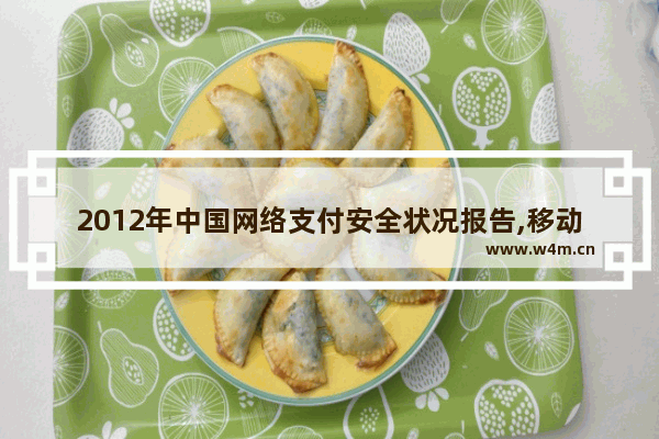 2012年中国网络支付安全状况报告,移动支付安全现状