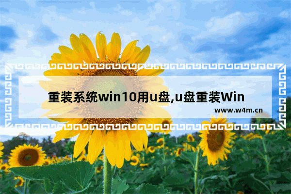 重装系统win10用u盘,u盘重装Win10