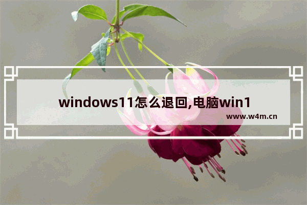 windows11怎么退回,电脑win11怎么退回win10