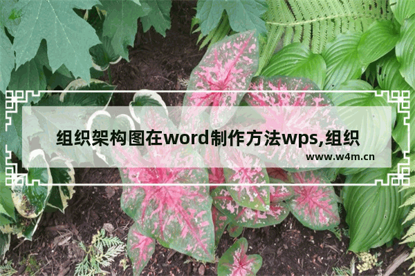 组织架构图在word制作方法wps,组织结构图在wps文档怎么做