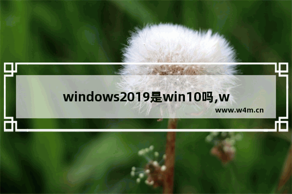 windows2019是win10吗,win1020h2是什么版本