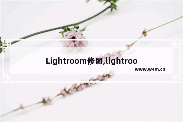 Lightroom修图,lightroom手机修图教程