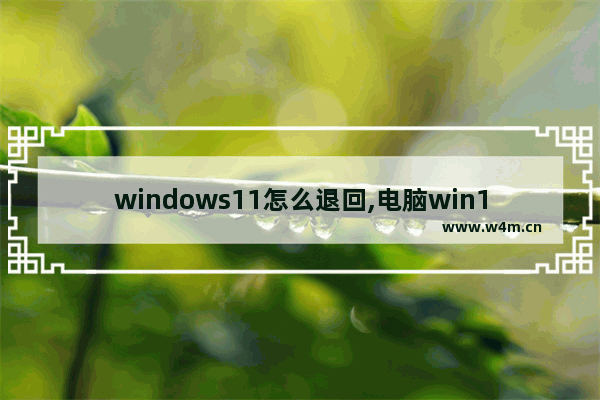 windows11怎么退回,电脑win11怎么退回win10