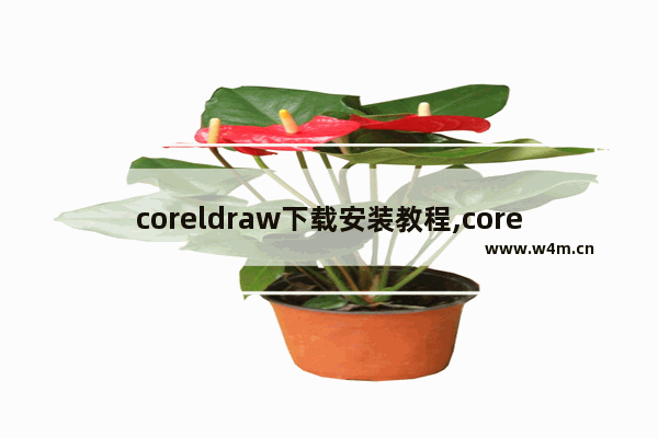 coreldraw下载安装教程,coreldraw2017安装激活步骤