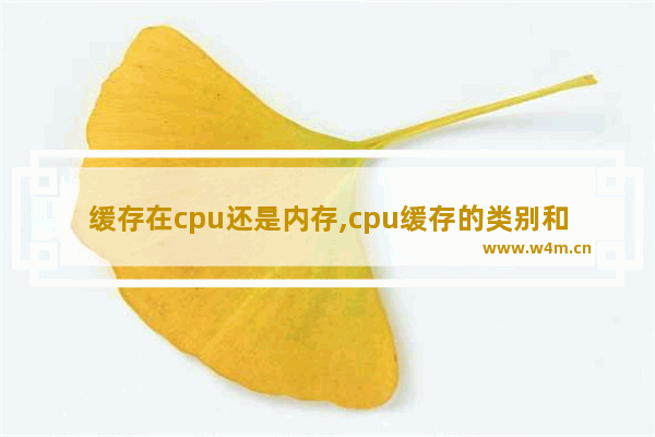 缓存在cpu还是内存,cpu缓存的类别和作用