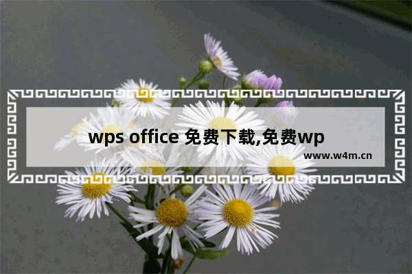 wps office 免费下载,免费wps office软件下载