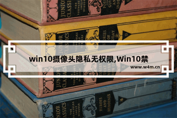 win10摄像头隐私无权限,Win10禁用摄像头