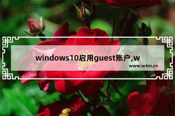 windows10启用guest账户,win10 guest权限