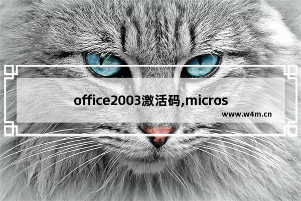 office2003激活码,microsoft office 2013激活码