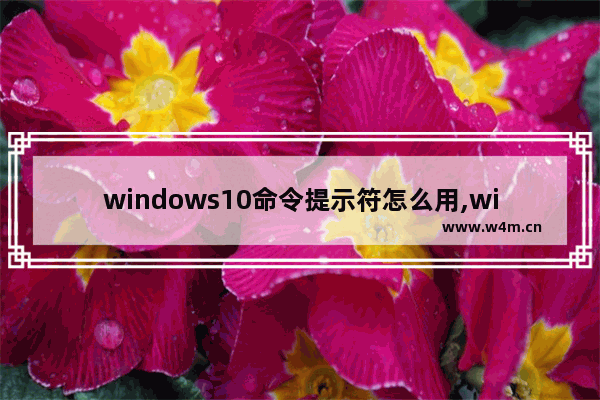 windows10命令提示符怎么用,windows10怎么调出命令提示符