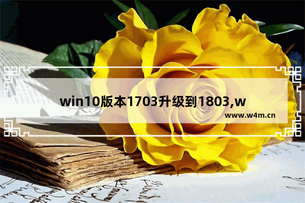 win10版本1703升级到1803,win10系统更新版本号