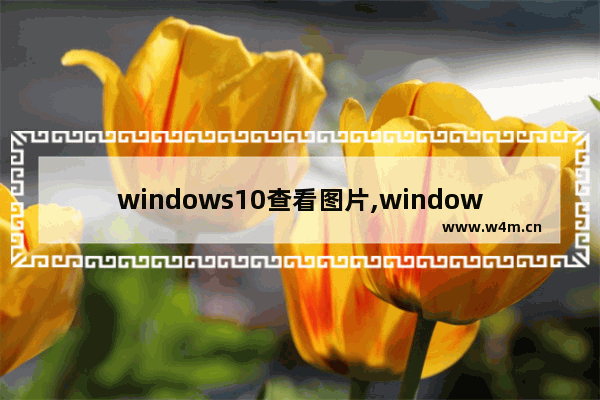 windows10查看图片,window10显示图片内容