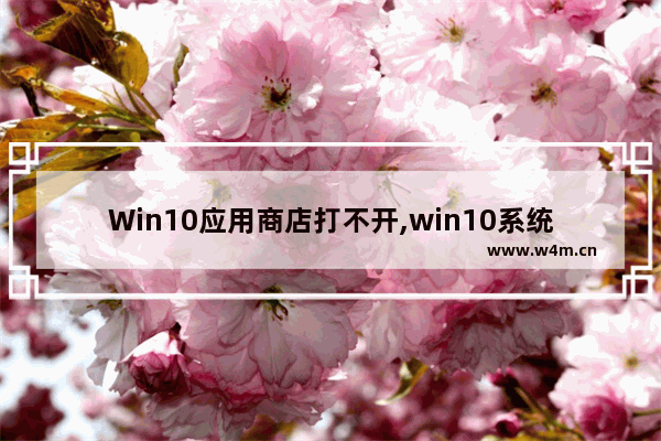 Win10应用商店打不开,win10系统应用商店打不开怎么回事_1