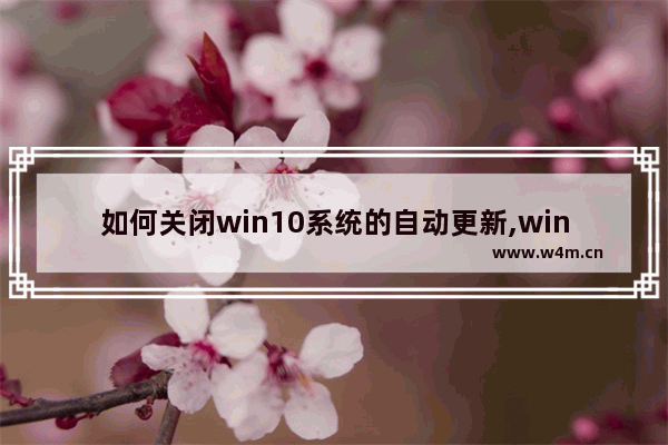 如何关闭win10系统的自动更新,win10系统关闭自动更新的方法