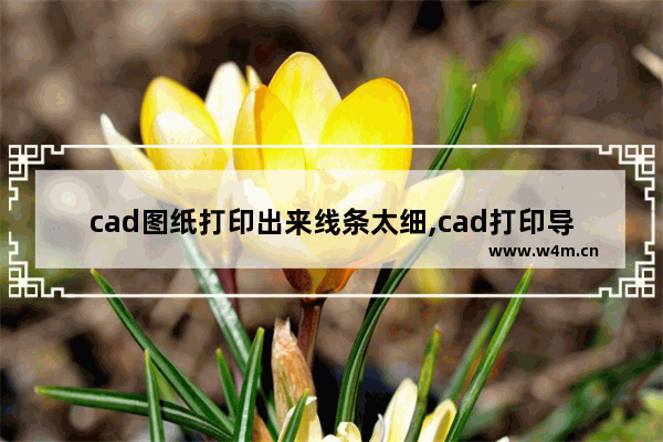 cad图纸打印出来线条太细,cad打印导出的时候发现线条很粗